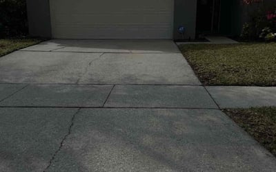 Photo of Barbara W.'s yard after getting landscaping in Mid Florida, FL