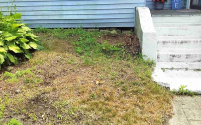 Photo of Lisa O.'s yard after getting landscaping in Woonsocket, RI