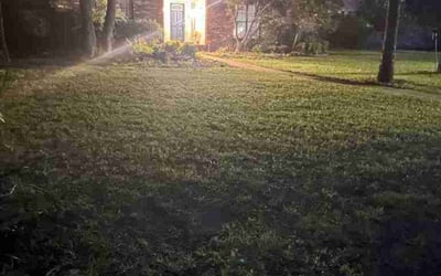 Photo of Debra C.'s yard after getting landscaping in Tulsa, OK