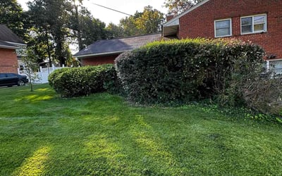 Photo of Christopher W.'s yard after getting landscaping in Sumerduck, VA