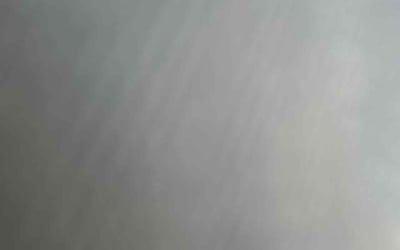 Photo of John C.'s yard after getting tree care in Cape Coral, FL