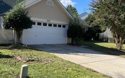 Photo of David B.'s yard after getting landscaping in Scotts, NC