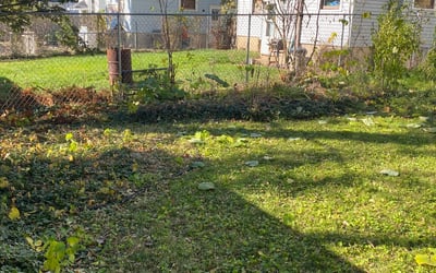Photo of Bill R.'s yard after getting landscaping in Brookville, OH