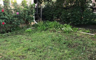Photo of Kristen T.'s yard after getting landscaping in American Fork, UT