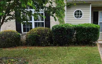 Photo of Rebecca M.'s yard after getting landscaping in Saint Simons Island, GA
