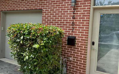 Photo of Andre M.'s yard after getting landscaping in Sunderland, MD
