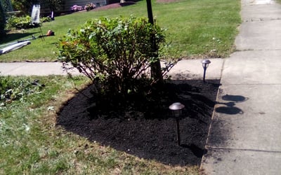 Photo of Jonathan B.'s yard after getting landscaping in Nazareth, PA