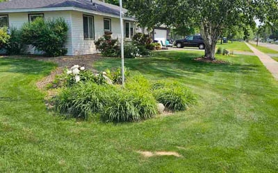 Photo of Peggy B.'s yard after getting landscaping in Inver Grove Heights, MN
