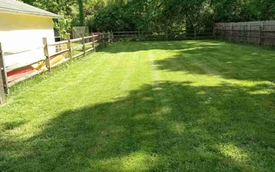 Photo of Matthew M.'s yard after getting landscaping in West College Corner, IN
