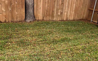 Photo of Taylor C.'s yard after getting landscaping in Commerce, TX