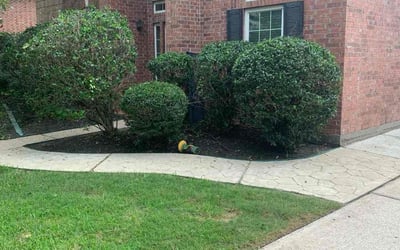 Photo of Lin Z.'s yard after getting tree care in Katy, TX