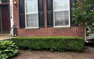 Photo of Cristina G.'s yard after getting landscaping in Welcome, MD