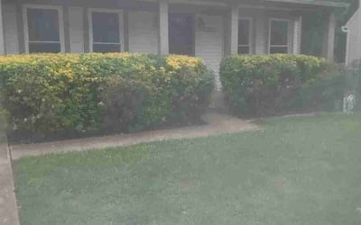 Photo of Jim_Carla A.'s yard after getting landscaping in Clinton, MD