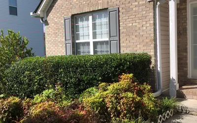 Photo of Robert B.'s yard after getting landscaping in Whitesburg, GA