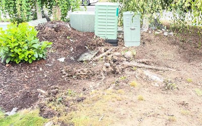 Photo of Paul B.'s yard after getting landscaping in Roy, WA