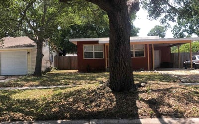 Photo of Jim D.'s yard after getting landscaping in Sun City, FL