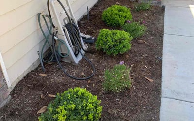Photo of Nicole H.'s yard after getting landscaping in Riverside, CA