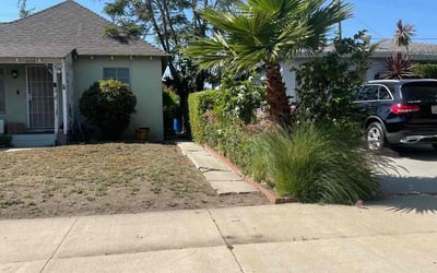 Photo of Carol M.'s yard after getting landscaping in San Pedro, CA
