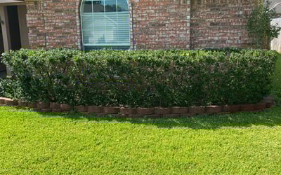 Photo of Ken L.'s yard after getting landscaping in Blue Ridge, TX