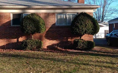 Photo of Kira B.'s yard after getting landscaping in White Lake, MI