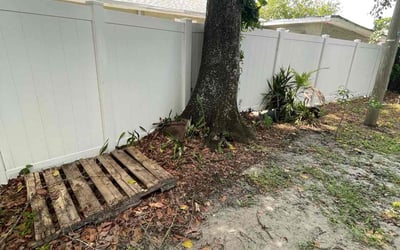 Photo of Josh S.'s yard after getting landscaping in Belleair Beach, FL