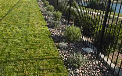 Photo of Robin C.'s yard after getting landscaping in Menifee, CA