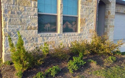 Photo of Donna R.'s yard after getting landscaping in Pflugerville, TX