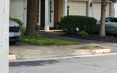 Photo of Linda G.'s yard after getting landscaping in Bristow, VA
