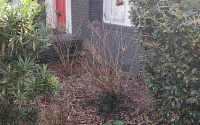 Photo of John W.'s yard after getting landscaping in Olin, NC