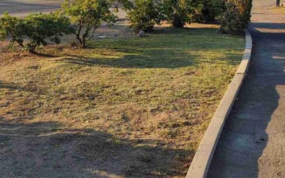 Photo of Matthew D.'s yard after getting landscaping in Sanger, CA