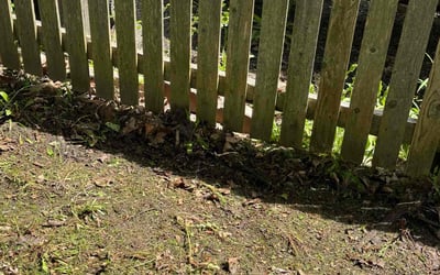 Photo of Robert C.'s yard after getting landscaping in Syracuse, NY