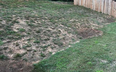 Photo of Tiffani A.'s yard after getting landscaping in Powder Springs, GA