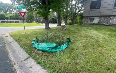 Photo of Joy M.'s yard after getting tree care in Excelsior, MN