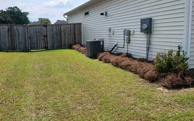 Photo of Elizabeth S.'s yard after getting landscaping in Summerville, SC