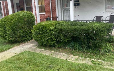Photo of Vanessa S.'s yard after getting landscaping in Harwood, MD