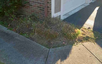 Photo of Aaron M.'s yard after getting landscaping in Harrisburg, OH