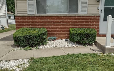 Photo of Jon T.'s yard after getting tree care in New Albany, OH