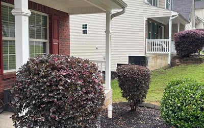 Photo of Yolanda W.'s yard after getting landscaping in Monticello, GA