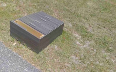 Photo of Diann C.'s yard after getting tree care in Casselberry, FL