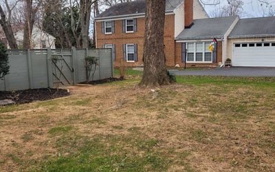 Photo of Max S.'s yard after getting landscaping in Millwood, VA