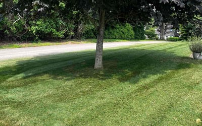 Photo of David F.'s yard after getting lawn care in Narragansett, RI