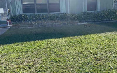 Photo of Teresita F.'s yard after getting tree care in Macclenny, FL