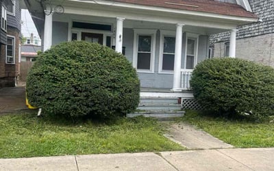 Photo of Katy G.'s yard after getting lawn care in Hightstown, NJ
