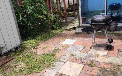 Photo of Anthony P.'s yard after getting landscaping in Ferndale, FL