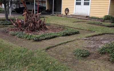 Photo of Kimberly W.'s yard after getting landscaping in Devers, TX