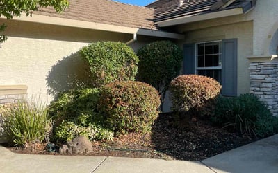 Photo of Robert V.'s yard after getting landscaping in South Lake Tahoe, CA