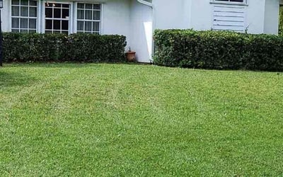 Photo of Barry C.'s yard after getting landscaping in Scottsmoor, FL
