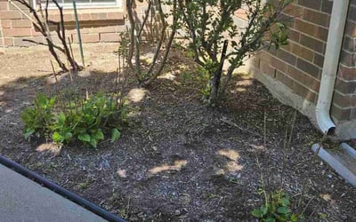Photo of Jessica P.'s yard after getting landscaping in Simonton, TX