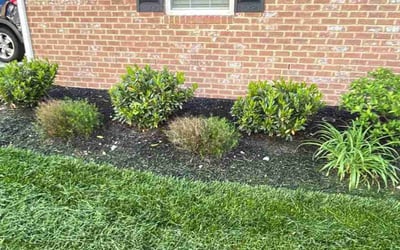 Photo of efua t.'s yard after getting landscaping in Beallsville, MD