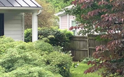Photo of Jeanne H.'s yard after getting landscaping in Apex, NC